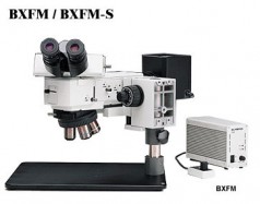 BXFM小型系统显微镜